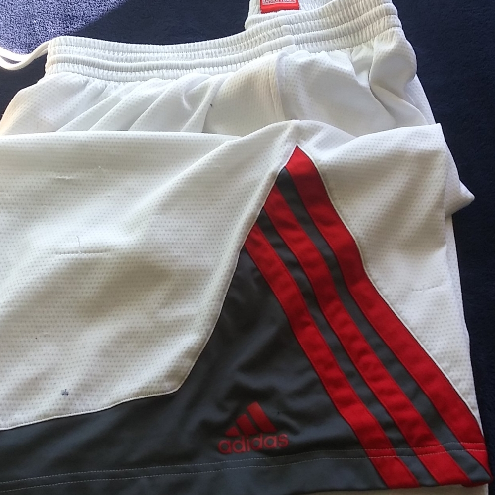 Shorts - Picture 4 of 4